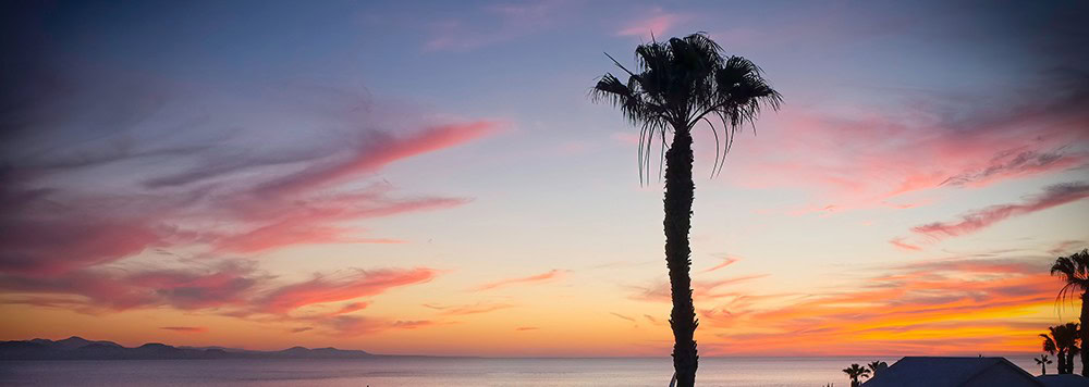 Vibrant sunset over the ocean with colorful clouds and silhouetted palm trees creating a tropical coastal scene.