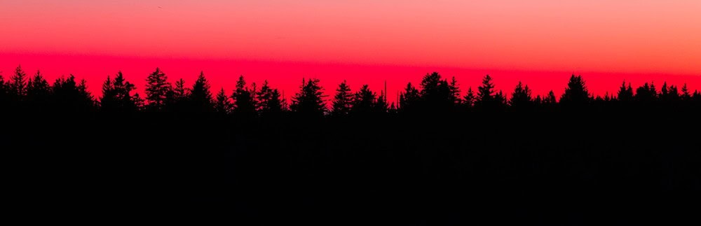 Vivid sunset over a silhouette of a dense forest with a pink and orange sky in the background. Perfect for inspiring outdoor or nature-themed signs and banners.