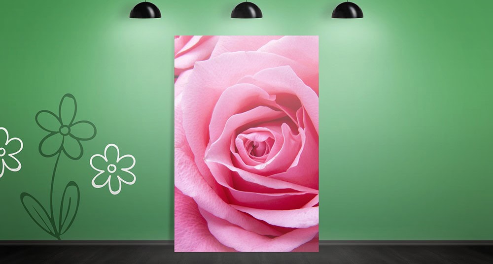 Why You Should (or Shouldn't) Print Your Photographs on Aluminum 3 Vivid pink rose close-up displayed as a print or banner against a green wall with floral illustrations. Perfect for floral decor, signage, or artistic events showcasing vibrant flower imagery.