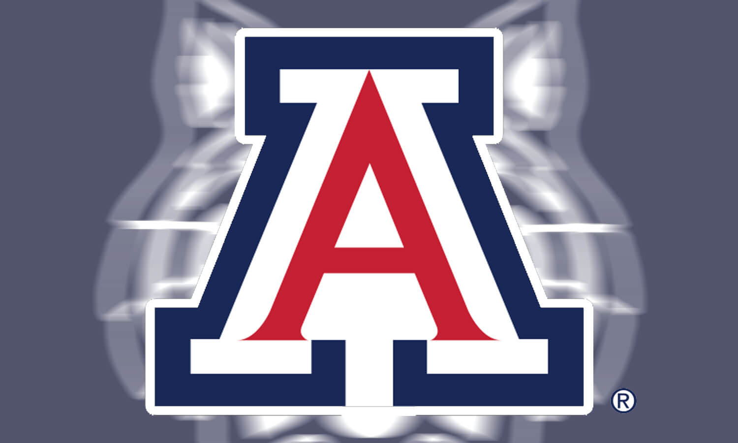 Amazing University of Arizona T-Shirtsthat You Customize